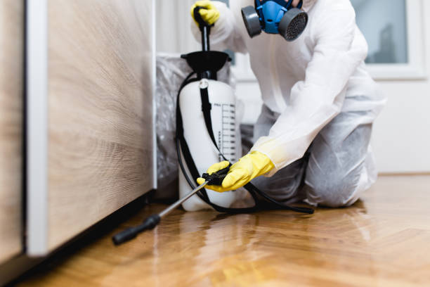 Flea Control Services in South St Paul, MN