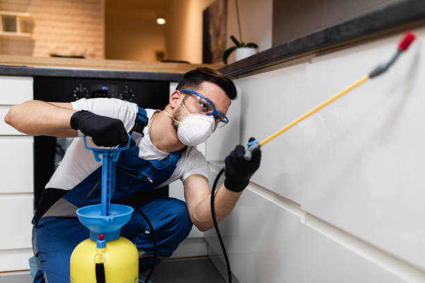Best Pest Inspection Near Me  in South St Paul, MN