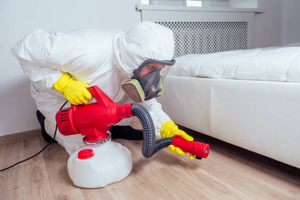 Best Emergency Pest Control  in South St Paul, MN