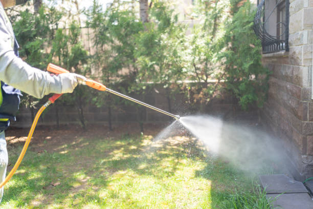 Best Bed Bug Extermination  in South St Paul, MN