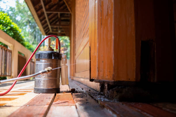Best Wasp Removal Services  in South St Paul, MN