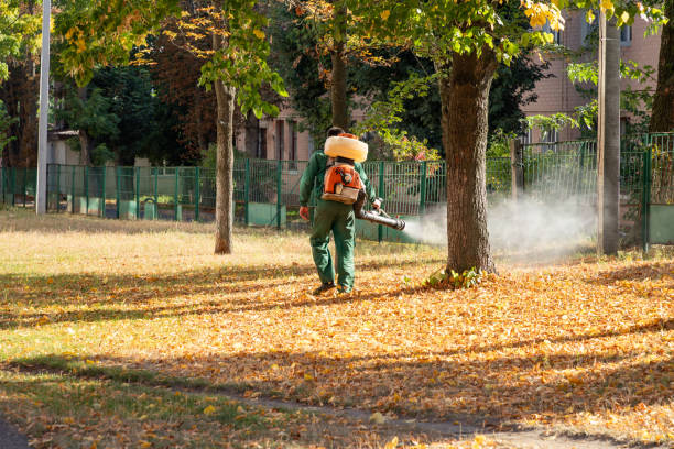 Professional Pest Control in South St Paul, MN
