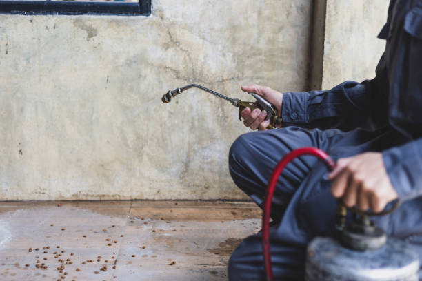 Best Pest Removal Services  in South St Paul, MN